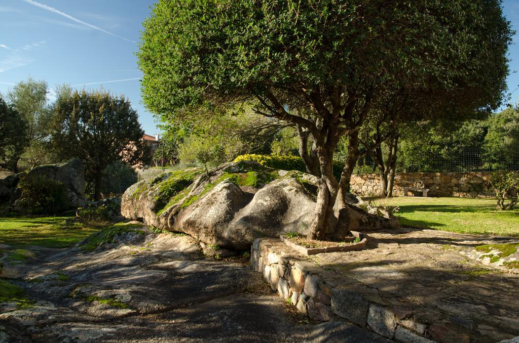 B&B Li Conchi Arzachena Exteriér fotografie